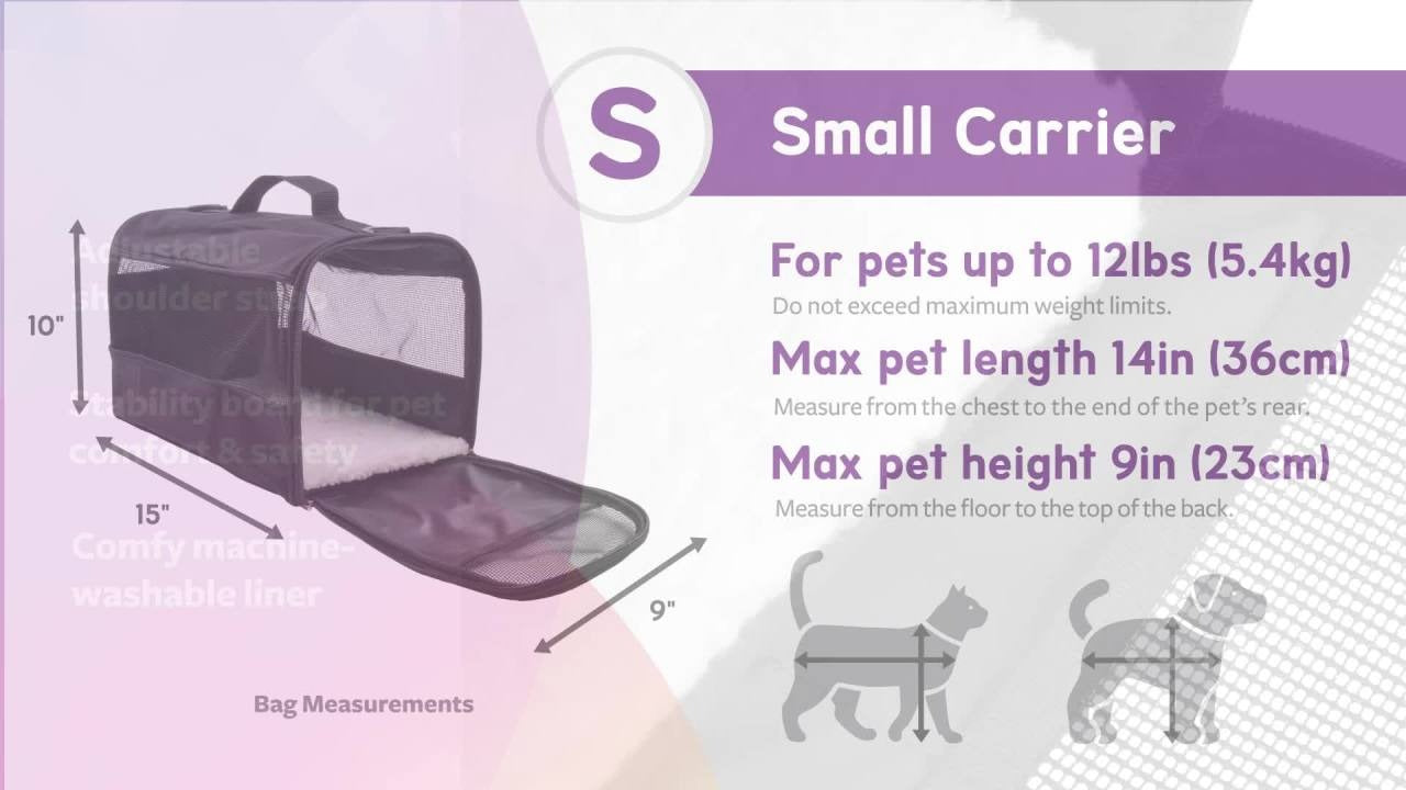 Small Soft-Sided Pet Carrier for Cats and Small Dogs with Secure Zipper Design
