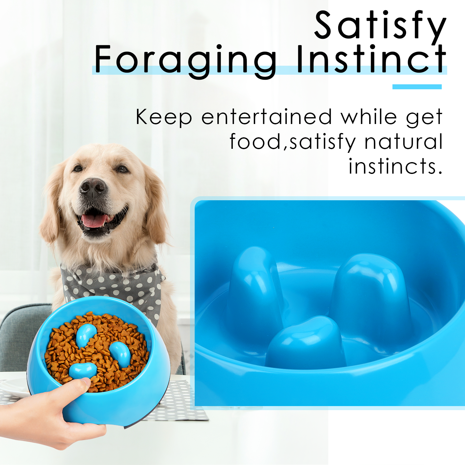 Blue Slow Feeder Dog Bowl Anti Gulping Puzzle Design for Small and Medium Dogs