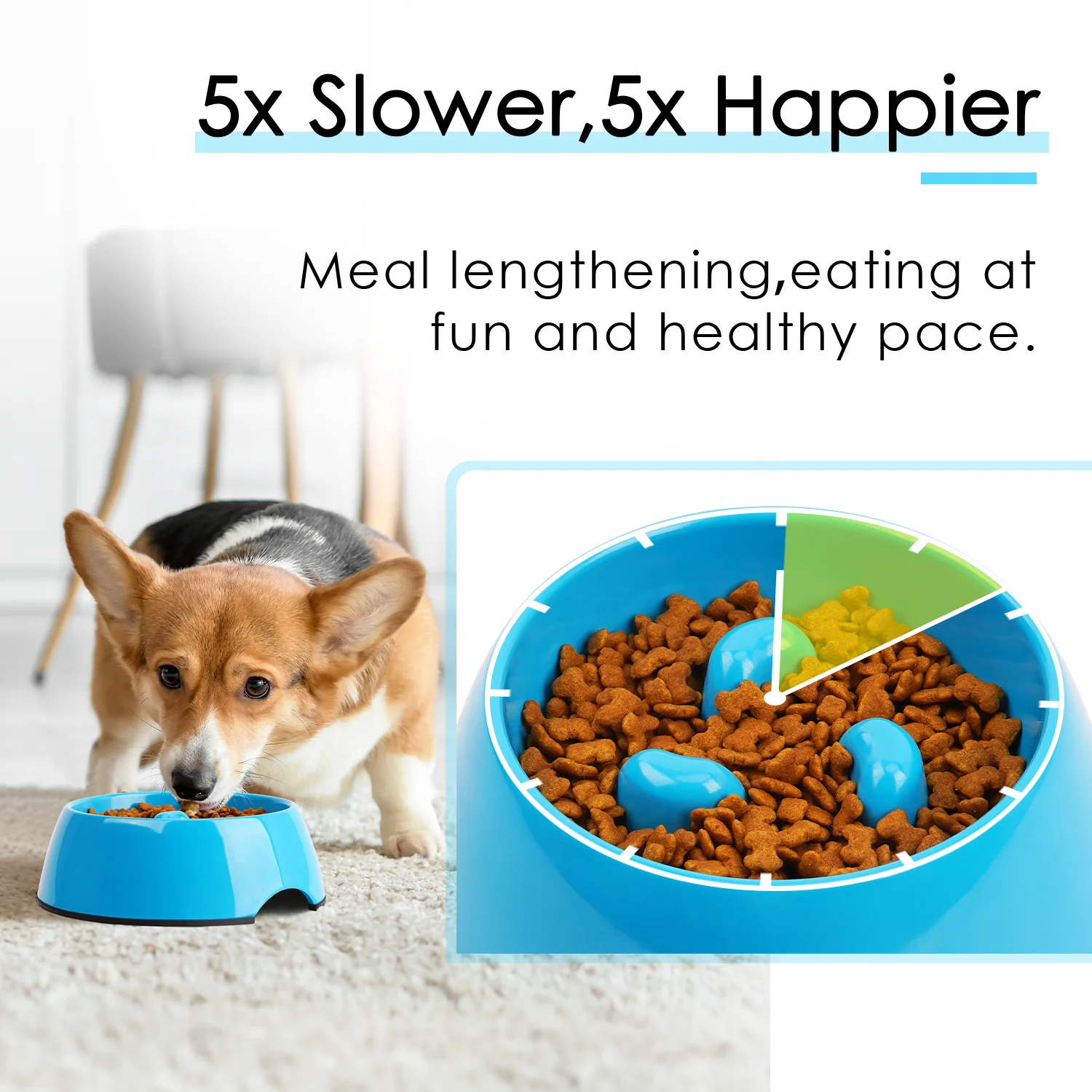 Blue Slow Feeder Dog Bowl Anti Gulping Puzzle Design for Small and Medium Dogs