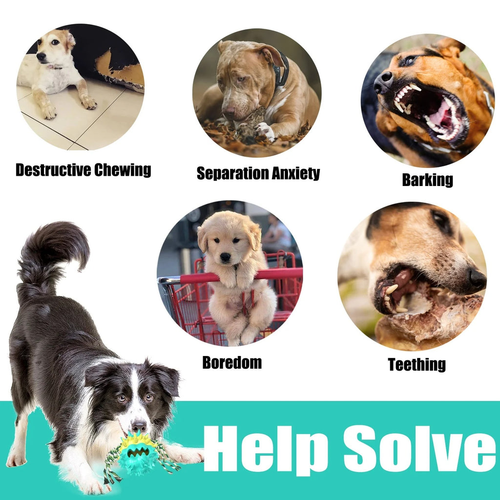 Blue Dog Chew Ball for Aggressive Chewers Interactive Teething and Squeaky Toy for Small Medium Large Dogs