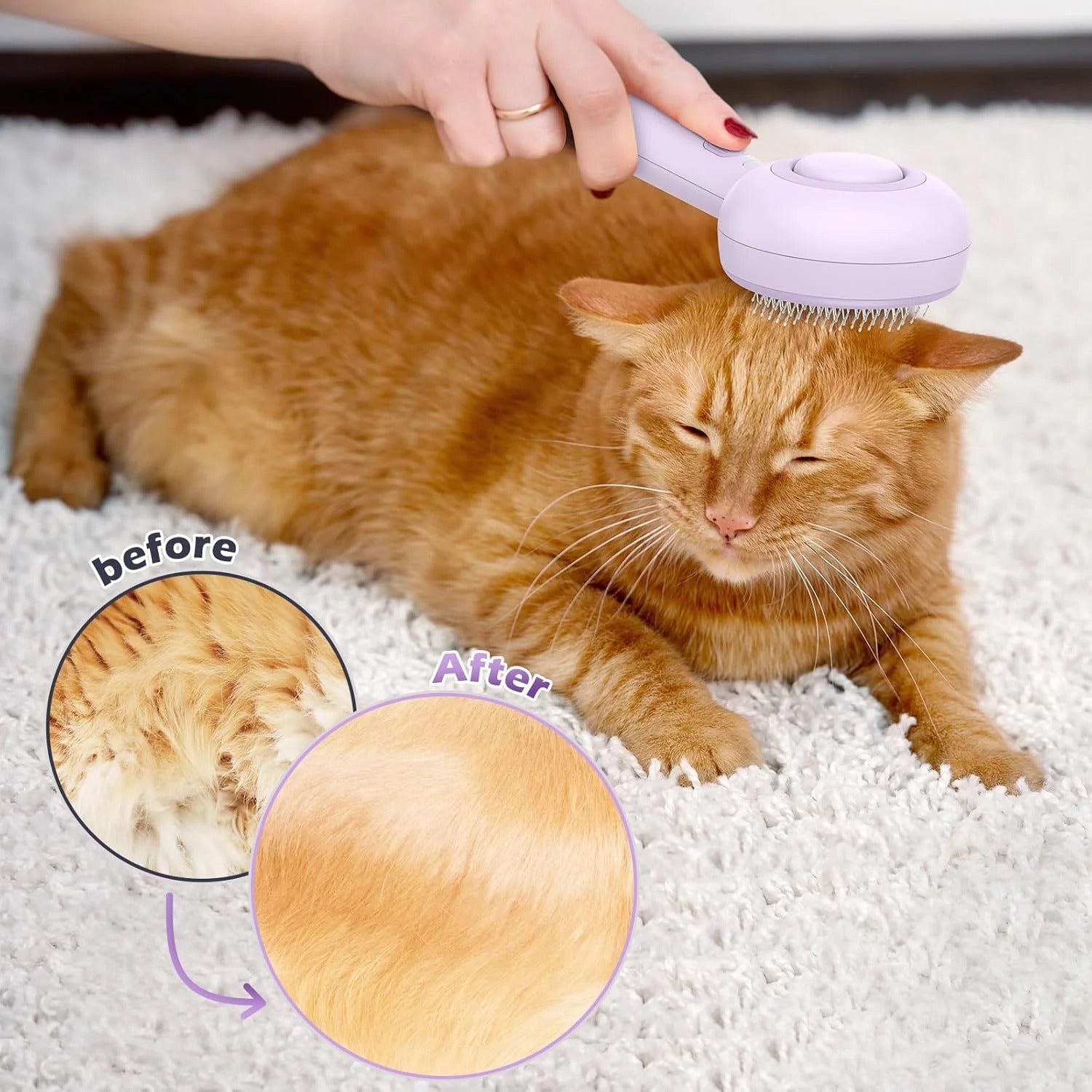 3-in-1 Cat Steam Brush with One-Click Hair Release and Water Tank for Cats and Dogs, Long and Short Hair Grooming, Purple