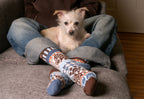 Dog Crew Socks