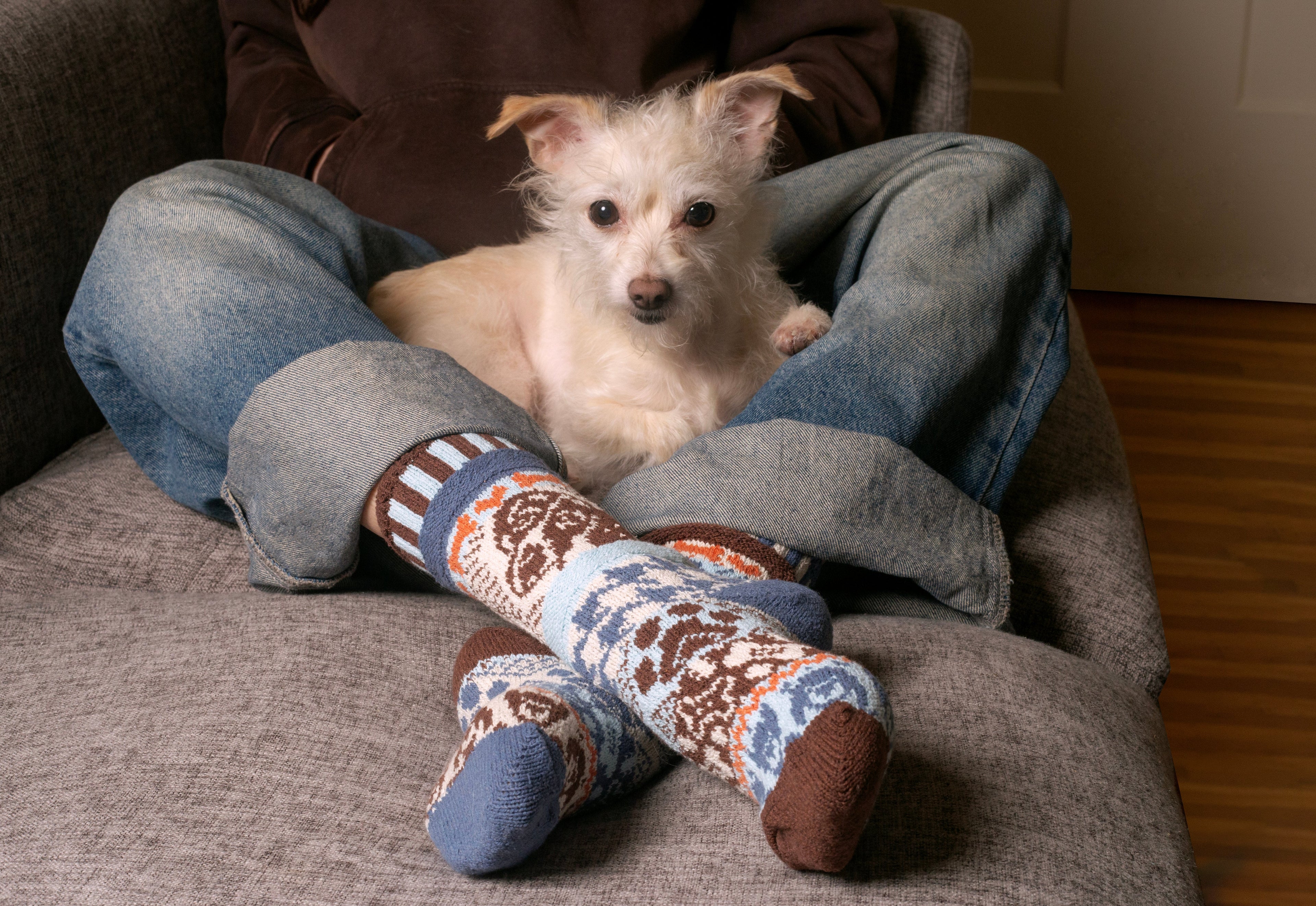 Dog Crew Socks